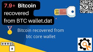 🔐 79 BTC recovered from a bitcoin core walletdat [upl. by Attenor]