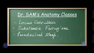 LOCUS COERULEUS  SUBSTANTIA FERRUGINEA  PARADOXICAL SLEEP  Dr Azmi Mohsin [upl. by Devlin]