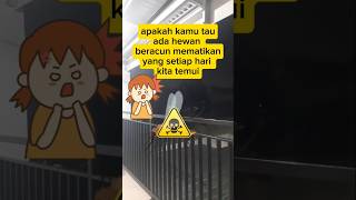 Hati hati yah teman teman dengan hewan ini viralvideo trendingshorts [upl. by Nosredneh]