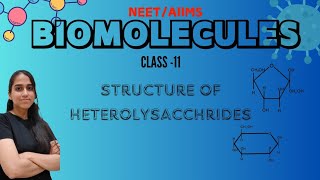 NEETAIIMS  Class11  BIOMOLECULES  CARBOHYDRATES  Structure of Polysaccharides  Part2  neet [upl. by Dulcia]