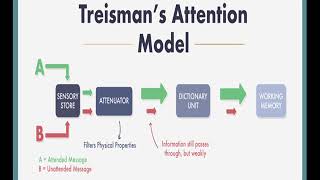 FILTER ATTENUATION THEORY amp MULTIMODE THEORY [upl. by Cousins137]