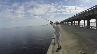 Pigfish and White Trout on Bob Sykes Fishing Pier [upl. by Ielarol374]