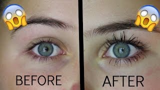 How To Grow Your Eyelashes In 1 Day [upl. by Airakaz]