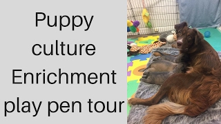 Puppy play pen tour puppy culture [upl. by Ydur]