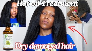 2 WAYS TO USE OIL FOR DOUBLE THE HAIR GROWTH Do this if your hair is Dry breaking off and shedding [upl. by Jemmy]