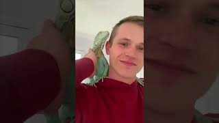 The Man Saves Green Iguana From The Jaws of a Ferocious Dog iguana lizard shorts [upl. by Seldan148]