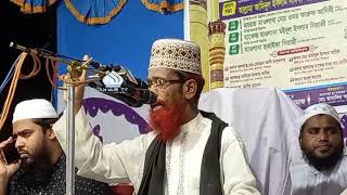 দ্বিতীয় সাঈদীর ওয়াজ মাওলানা আমিনুল ইসলাম সাঈদী ditio saidir waz maulana aminur islam saidi [upl. by Hardan]