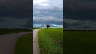 Starkes Gewitter am 10072024 im Landkreis Ebersberg clouds bayern storm travel weather [upl. by Virgilio]