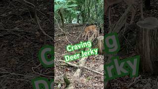 Craving Deer Jerky deerhunting outdoors venison [upl. by Chaworth]