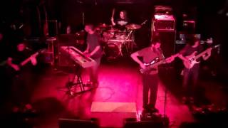 The Contortionist  Primal Directive live [upl. by Akimet334]