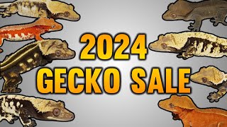 2024 Spring Crested Gecko Sale Preview [upl. by Vish]