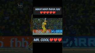 Mr Cool dhoni ipl cricket dhoniforever shortsviral shorts subscribe yt ytshorts ytviral [upl. by Suoicerpal313]