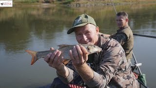 Tyczką w Odrę cz 3 W królestwie brzany [upl. by Riordan]