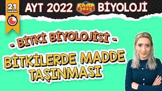 Bitkilerde Madde Taşınması  AYT Biyoloji Kamp2022 [upl. by Ainegue]