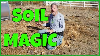 How to Transform Bad Soil Into Good Soil [upl. by Siriso905]