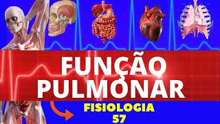 FUNÇÃO PULMONAR FISIOLOGIA HUMANA  FISIOLOGIA DE GUYTON  FISIOLOGIA RESPIRATÓRIA [upl. by Rizzi]