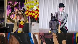 Select Show Horses in Sheridan IN [upl. by Eahs]