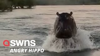 Close call Watch the moment a huge hippo CHASES a speedboat full of sightseers  SWNS [upl. by Stannfield]