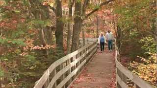 Sault Ste Marie Michigan Beautiful Fall [upl. by Sirraj]