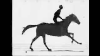 Eadweard Muybridge  The Horse in Motion 1878 First Movie Ever Made [upl. by Zorine985]