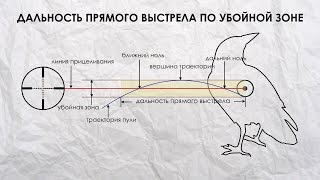 ПРЯМОЙ ВЫСТРЕЛ И ОПТИМАЛЬНАЯ ДИСТАНЦИЯ ПРИСТРЕЛКИ [upl. by Htez173]