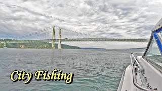 City Fishing Puget Sound [upl. by Pollard]