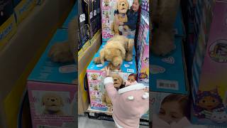 Encontramos un perrito que parece real 😱😳 vlogdeldia mividadiaria minivlog momlife [upl. by O'Hara]