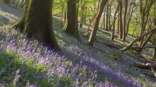 Dartmoor Timelapse [upl. by Anayad]