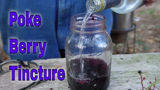 Poke Berry Tincture [upl. by Colombi294]