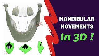 Mandibular Movements in 3D  SUPER EASY [upl. by Ettener]