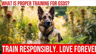 German Shepherd Responsibility Tips for Every Owner [upl. by Vada]