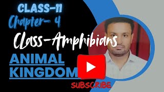 Class AMPHIBIAN Amphibian in detail amphibian in one video11th class bio hindiCBSENEET BOARD [upl. by Mingche]