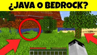 ¿Puedes adivinar si es Java o Bedrock en 10 segundos [upl. by Ailyt]