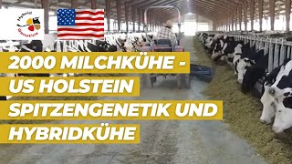 2000 Milchkühe  USHolstein Spitzengenetik und Hybridkühe  unser Video zur EuroTier aus den USA [upl. by Lorene]