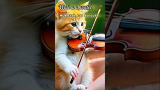 Musician cat 🐈🎶 Miaon miaoncute cat catlover youtubeshorts song dance bollywood musshorts [upl. by Tallula]