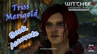 Witcher 2  Triss BookAccurate Mod [upl. by Barbe891]