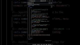 understanding Meta Tags  Day 9  metatags html webdevelopment coding meta [upl. by Nrojb]