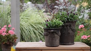 Layered Bulb Pot for Longer Lasting Spring Blooms [upl. by Nacnud917]