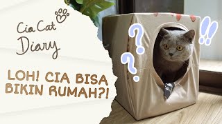 Gampang Banget DIY Cara Membuat Rumah Kucing dari Kardus  Cia Cat Diary  Ep 45 [upl. by Oremar330]