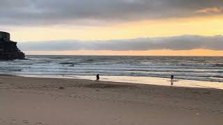 17112024 Sydney Surf Report Queenscliff Beach Australia [upl. by Lrat]