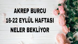 AKREP BURCU 🎇 1622 EYLÜL HAFTASI NELER BEKLİYOR TAROT AÇILIM tarot Zodiacastrolojitarot [upl. by Drofkcor790]