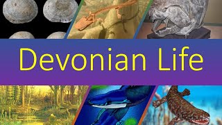 Life Of The Devonian Period [upl. by Abrahams]