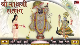 Shrinathji Satsang  Top 20 Songs  Beautiful Collection of Most Popular Shrinathji Songs [upl. by Isnan726]