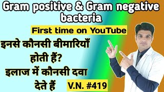 Difference between gram positive and negative bacteria  Gram positive vs Gram negative bacteria [upl. by Anyalram]