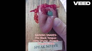 RAINING SNARESThe Black TongueDirty Drumz ProjectJunglist Militia [upl. by Dew87]