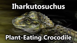 Iharkutosuchus The Herbivorous Prehistoric Crocodilian [upl. by Aseel]