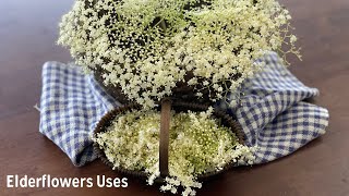 Elderflowers and How to Use Them [upl. by Dianne]