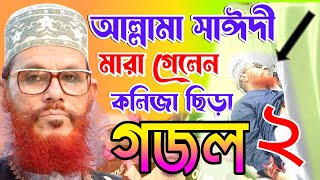 আল্লামা সাঈদী হুজুরের মৃত্যু নাকি হত্যা নাস্তিক হাসিনার কঠিন জবাব  delyar saidi [upl. by Pantin785]