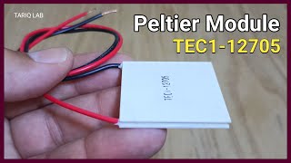 What Is Peltier Module  Thermoelectric Cooler [upl. by Michey]