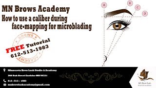 How to use a caliber during facemapping for microblading  FREE Tutorial [upl. by Fiedling488]